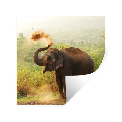 Produktbild von MuchoWow® Wandtattoo Wandsticker Wandaufkleber Elefant - Tiere - Wald - Bäume 50x50 cm Selbstklebend und Repositionierbar - Selbstklebend - Fototapeten