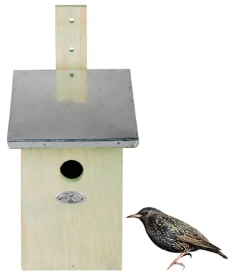 Productafbeelding van Esschert Design: Nestkasten, type NKS
