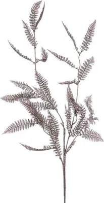 Produktbild von Warentuin Producten
