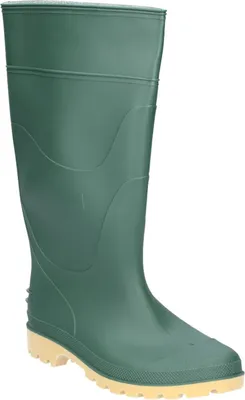 Image de Bottes en caoutchouc Dikamar pour hommes Pricebuster/Evora FS1132 (42 EUR) (Vert)