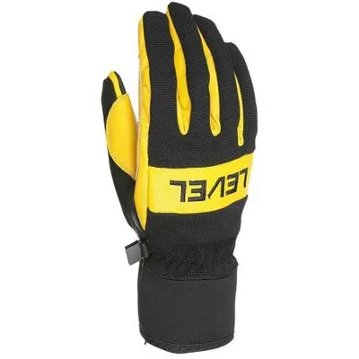 Produktbild von HANDSCHUHE LEVEL WB - schwarz - M