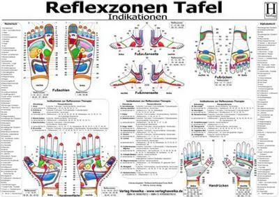 Image de Reflexzonen Tafel. Indikationen. DIN A3