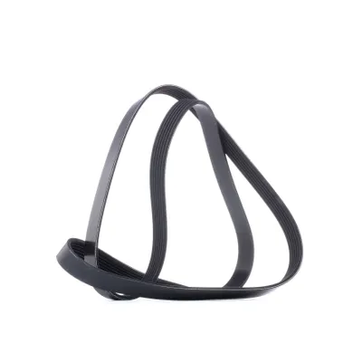 Produktbild von DAYCO Keilrippenriemen 6PK1600 für VW Golf V Schrägheck (1K1) TOURAN (1T1 1T2)