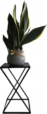 Produktbild von Blumenständer, Blumenhocker, Blumentopfständer Modern Pflanzenstand Pflanzenständer Pflanzenhocker, im Loft-stil, Stahl pulverbeschichtet 40 cm X