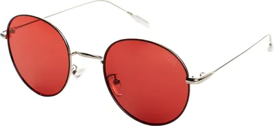 Immagine prodotto di MUST HAVE Occhiali da sole rotondi polarizzati con protezione UV 400 ANCHE Unisex