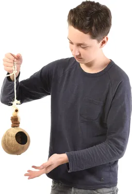 Produktbild von KoKos an einer Schnur - ein Spielzeug für alle Papageien