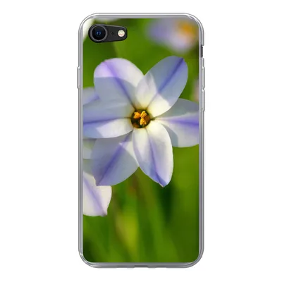 Produktbild von MuchoWow® Handyhülle Schutzhülle Hülle für iPhone 8 Blumen - Garten - Lila Silikon Softcase Handy Hülle - Schutzhaube