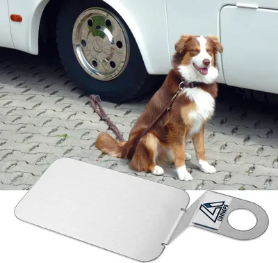 Produktbild von Linnepe Dogsitter Bodenanker für Hunde aus Edelstahl