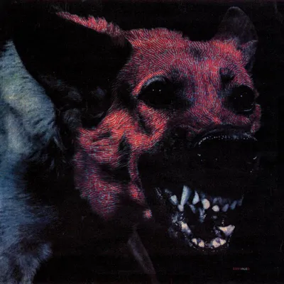 Obrázok produktu pre Protomartyr: - 375 Media - (CD / U)
