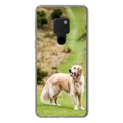 Produktbild von MuchoWow® Handyhülle Schutzhülle Hülle für Huawei P40 Lite Schönes Bild eines Golden Retrievers Silikon Softcase Handy Hülle - Handy