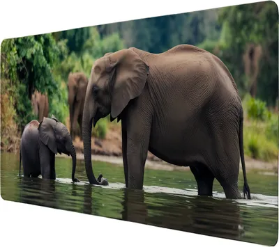 Produktbild von Elefantenfamilie am Fluss Schreibtischunterlage 69x31cm XXL Mauspad