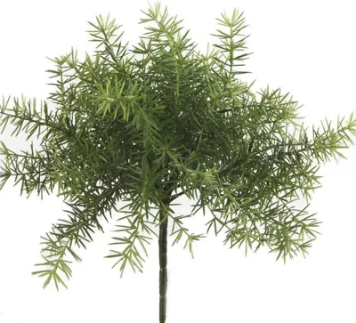 Produktbild von Warentuin Producten