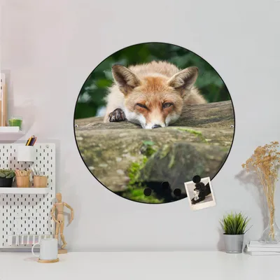 Produktbild von Design Stahlmagnettafel Schwarz Rund 47cm Fuchs Relax