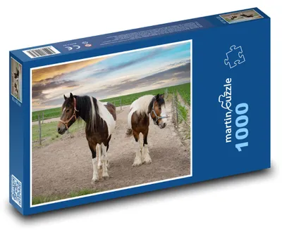 Zdjęcie produktu dla martinpuzzle - Puzzle 1000 - Farma - konie, zwierzęta