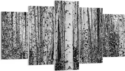 Produktbild von Bild auf Leinwand - Leinwandbild - 5 Teile - Birken Wald Monochrom - 160x85cm - Wand Bild - Wanddeko - Wandbilder - Leinwanddruck - Bilder - Wanddekoration - Leinwand bilder - Wandbild - EA160x85-4643