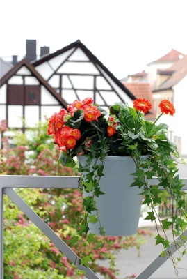 Produktbild von KHW Blumenkasten Flowerclip aus hochwertigem Kunststoff - 3er Set; stabil, UV-/wetterbeständig. Maße 27 cm x 27 cm x H 27,5 cm; Farbe: Grau.