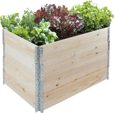 A wooden raised garden bed filled with various plants.
