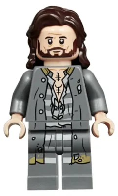 Produktbild von LEGO Minifigur Sirius Black - Dark Brown Hair, Dark Bluish Gray Jacket (hp174)