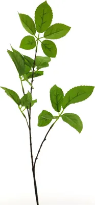 Produktbild von artplants.de Künstlicher Apfelbaumzweig SHUYI, grün, 75 cm - Künstlicher Blätterzweig