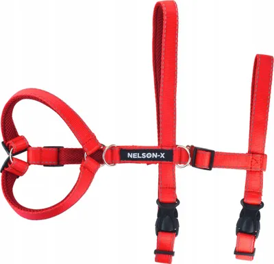 Image de Guard Harnais Anti-Fugue Réfléchissant Pour Chien Nelson-X Patte Taille M