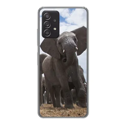 Produktbild von MuchoWow® Handyhülle Schutzhülle Hülle für Samsung Galaxy A53 5G Elefant - Tiere - Natur - Flachland Silikon Softcase Handy Hülle - Schutzabdeckung