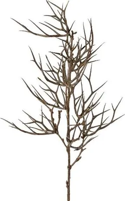 Produktbild von artplants.de Künstlicher Zweig Christusdorn SPROLI, braun, 70cm - Kunst Euphorbiazweig