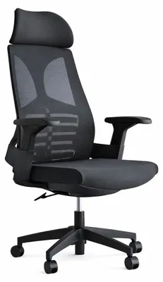 Immagine prodotto di Sedia da ufficio ergonomica con poggiatesta e braccioli regolabili