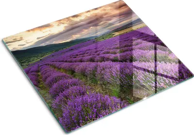 Produktbild von Tulup Glas Herdabdeckplatte Glaskeramikkochfeld-Abdeckung Spritzschutz Glasabdeckplatte Kochplattenabdeckung und Schneidebrett - Einteilig - 60x52 cm Lavendelfeld