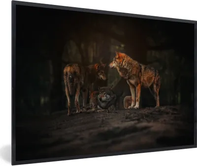 Produktbild von MuchoWow® Gerahmtes Poster Wolf - Tiere - Wald 90x60 cm - Poster mit Schwarzem Bilderrahmen Wandposter Rahmen Foto Bilder - Fotorahmen - Foto-Plakat