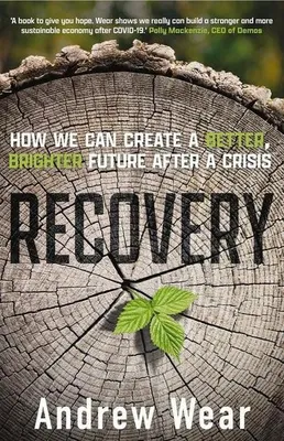 Imagen del producto de Recovery