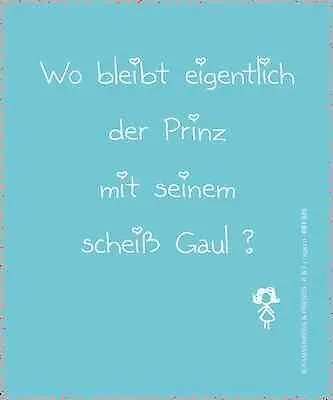 Produktbild von Reinigungstuch Prinz Gaul Microfasertuch Reinigungstücher Brillenputztücher Tücher