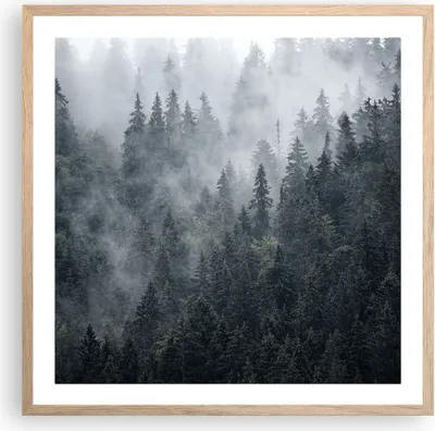 Produktbild von Gerahmtes Poster - Rahmen in heller Eiche - Wald Baum Natur - 60x60 cm - Wand Bild - Wanddeko - Wandbilder - Kunstposter - Wandposter - Bilderrahmen - Bilder - Kunstdruck - Wandbild - P2NAC60x60-4074