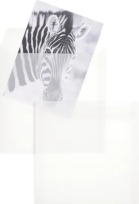 Produktbild von Transparente Briefumschläge - Weiß (Transparent-Weiß)220 x 220 mm | 110 g/qm Offset | Ohne Fenster | Haftklebung | Gerade Klappe | 250 Stück