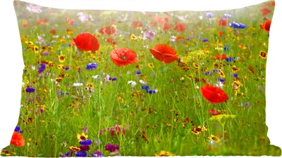 Produktbild von MuchoWow® Zierkissen Sofakissen Wohnzimmer Dekokissen 50x30 cm Frühling - Blumen - Rot - Mohn - Gras - Grün - Wohnzimmerdekoration - Polster mit Photo
