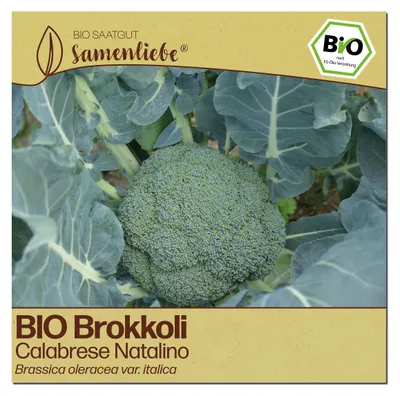 Produktbild von Samenliebe  Brokkoli Samen | Natalino - winterhart & grün - samenfestes  Saatgut