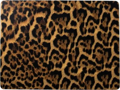 Produktbild von 4er Set Tischsets Platzdeckchen LEOPARD Kork 40x29cm Hakbijl