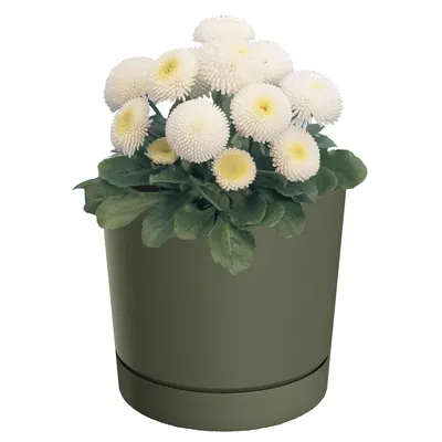 Immagine prodotto di Vaso da fiori con piattino Ø10,8 cm Altezza 10,9 cm Rotondo Opaco Moderno Liscio Alla moda Colore Verde - decorazione d'interni elegante e durevole Alloggiamento