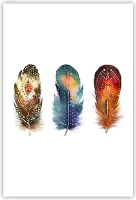 Produktbild von Poster - Poster ohne Rahmen - Feder Vogel Farbe - 61x91,5 cm - Wand Bild - Wanddeko - Wandbilder - Kunstposter - Wandposter - Bilder - Kunstdruck - Wanddekoration - Wandbild - P2XPA61x91-4927