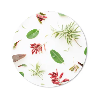 Produktbild von MuchoWow® Mauspad Mousepad Tropisch - Blätter - Rot 40x40 cm - Mousepads - Maus Mat - Pad - Mausunterlage - Schreibtisch Accessoires