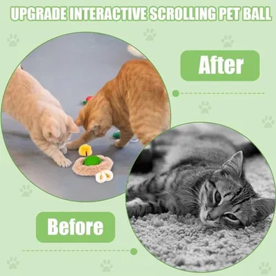 Interaktives Katzenspielzeug mit USB aufladbar - Grüner Plüschstil - 3 Betriebsmodi