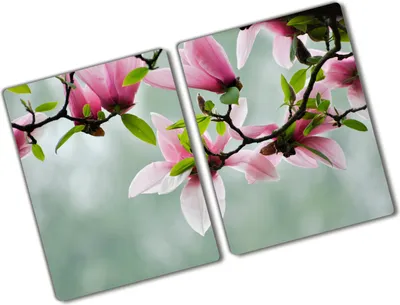 Produktbild von Tulup Glas Herdabdeckplatte - 2x40x52 cm - Glaskeramikkochfeld-Abdeckung Spritzschutz Glasabdeckplatte Kochplattenabdeckung und Schneidebrett - Zweiteilig - Blumen & Pflanzen - Magnolie - Rosa