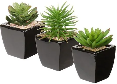 Produktbild von Famanu Set von 3 künstlichen Sukkulenten - Realistische Dekoration - Keramische Töpfe - Ideal für Zuhause und Büro