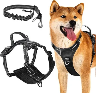 Image de Harnais pour chien Famanu avec fonction anti-traction, réfléchissant, réglable et confortable - Taille M