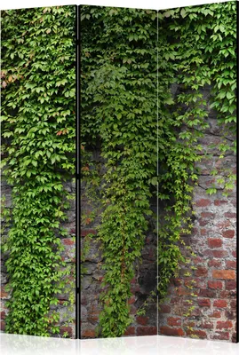 Obrázok produktu pre Obojstranný paraván Leaf 135x172 cm 3-dielny zelený