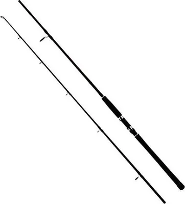 Produktbild von WFT Steckrute Never Crack plus High Carbon Jig & Pilk Länge 2,75m Wurfgewicht 40-160g
