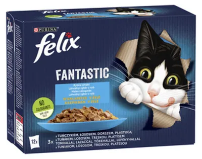 Obrázek produktu pro Felix Fantastic Fish v želé pro kočky 1,02 kg (12 X 85 G)