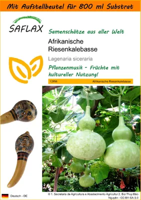 Produktbild von SAFLAX Garden in the bag - Afrikanische Riesenkalebasse - Lagenaria siceraria - 15 Samen - Mit Anzuchtsubstrat im praktischen, selbst aufstellenden Beutel