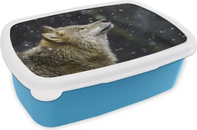 Produktbild von KitchenYeah® Lunchbox Brotzeit Brotdose 17x11 cm Wolf - Schnee - Braun Kinder Brotzeitdose - Lunch - Kunststoff  - Brotbüchse - Sandwichbox - Lunchbox für Kinder
