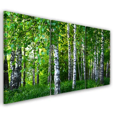 Produktbild von Triptychon auf leinwand grüne landschaften 60x40 cm Feeby grün wandbild bereit zum aufhängen