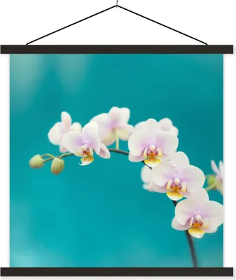 Produktbild von MuchoWow® Textilposter Orchidee - Blumen - Pflanze - Weiß - Lila 120x120 cm mit schwarzem Rahmen - Aufhängungsset
